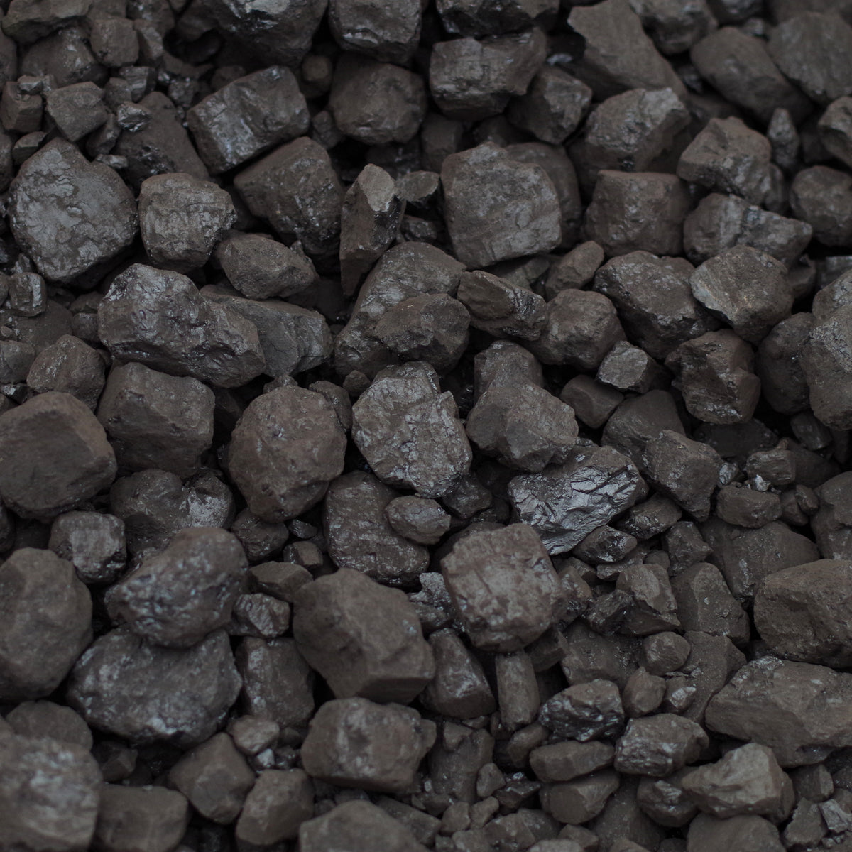 Rucola in busta gr.100 Linea Coal 