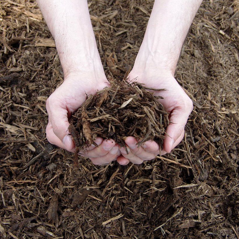 Mulch and Compost
