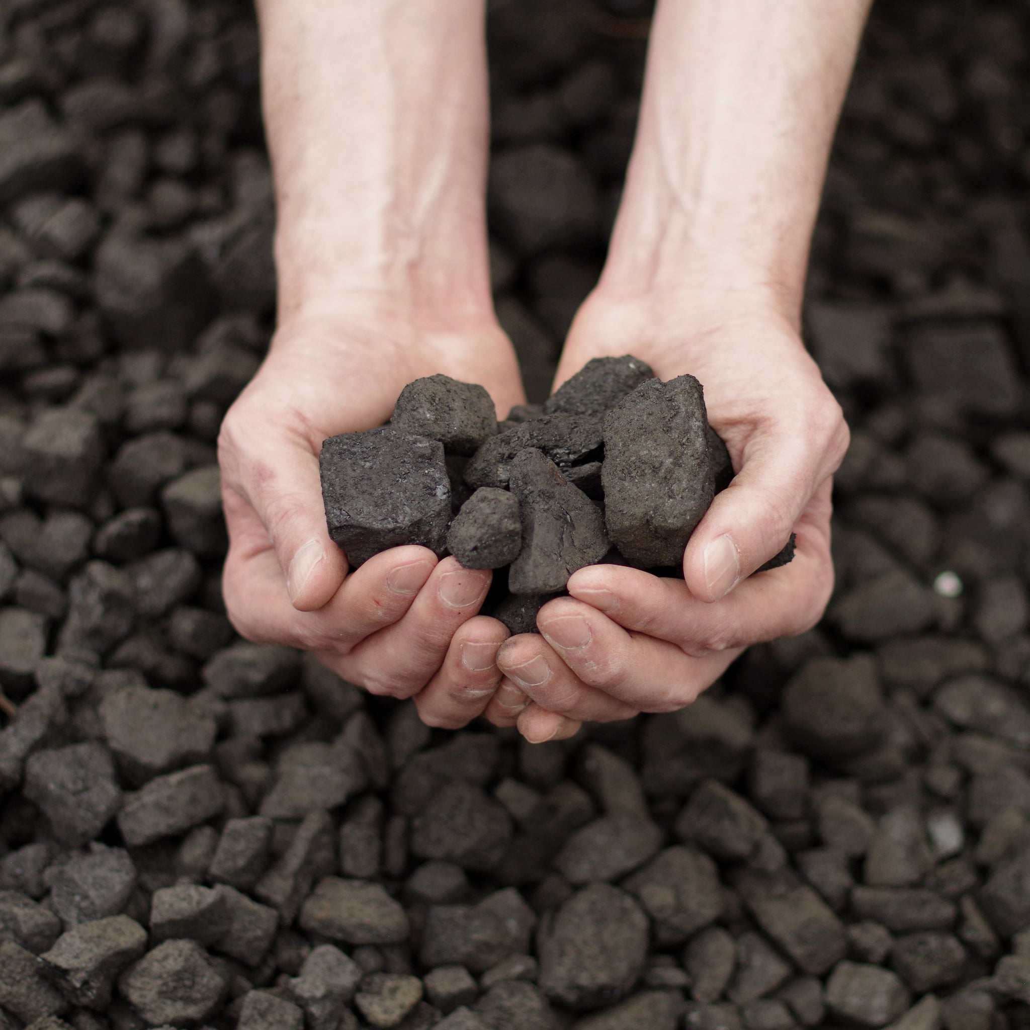 House Coal (Pittsburgh - 13000 BTU) - $154.75 Per Ton - Local Delivery Derry Latrobe Greensburg Ligonier Pennsylvania