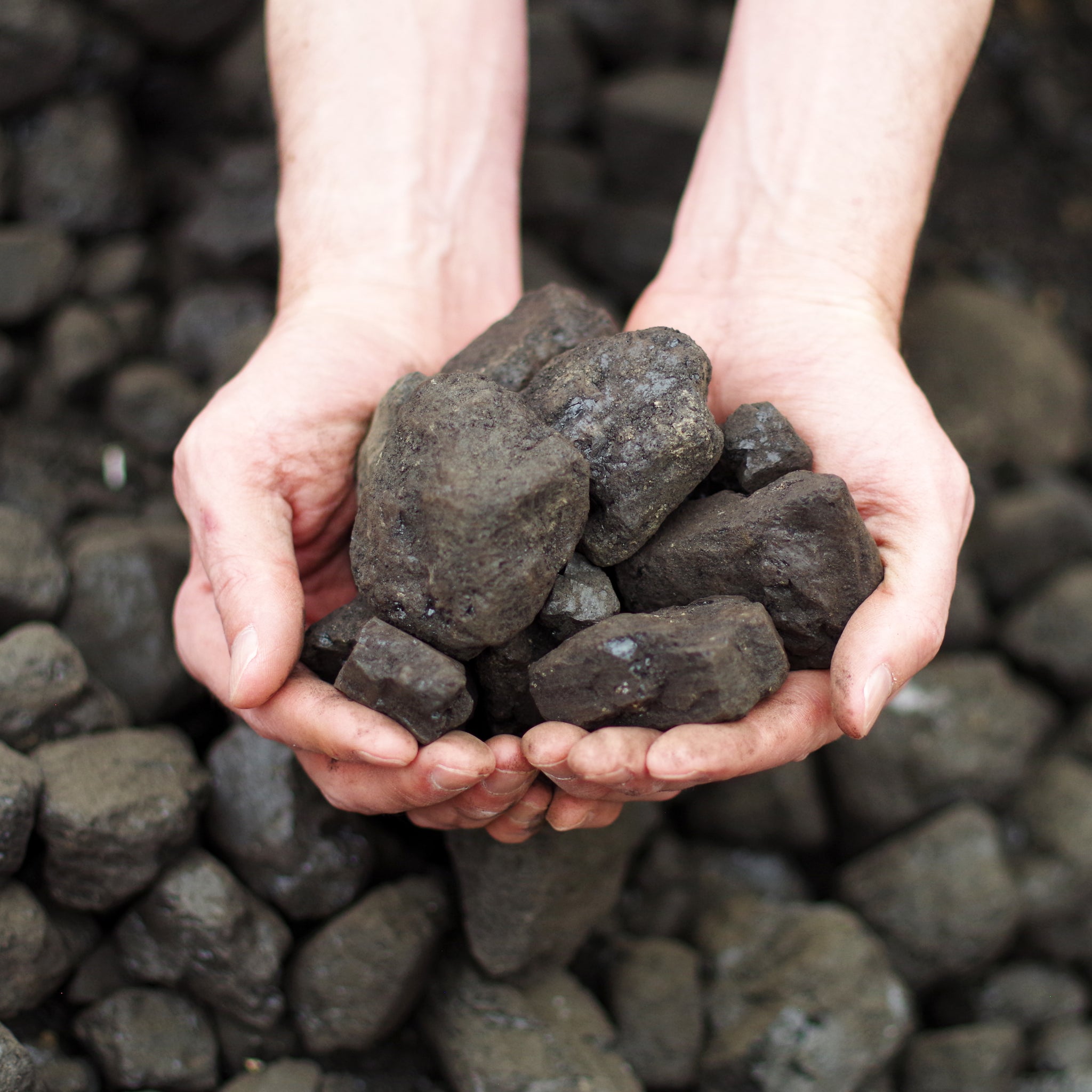 Screened Stoker Coal - $165 Per Ton - Local Delivery Derry Latrobe Greensburg Ligonier Pennsylvania